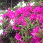 忙しいからこそ思うこと、、、