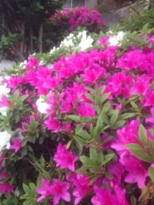 忙しいからこそ思うこと、、、