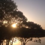 リスタート、、、