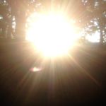 ボチボチと、、、