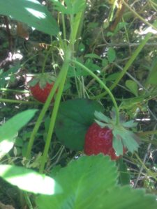 ご褒美だよね〜、、、