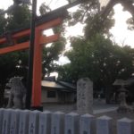 カワシバアジサイ、、、