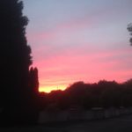 梅雨というのに、、、