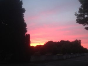 梅雨というのに、、、