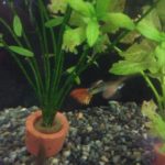 こんな日もあるさ、、、