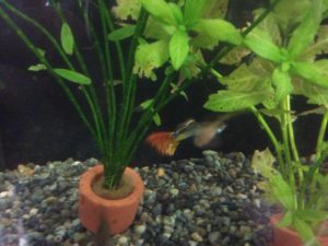 こんな日もあるさ、、、