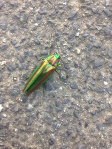 珍しいよね〜、、、