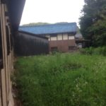 自然とは自然です、、、