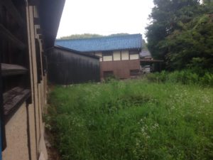 自然とは自然です、、、