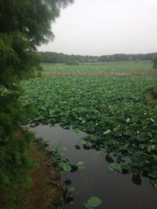 ここはどこ、、、、