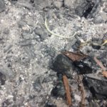 釉薬に使う灰、、、