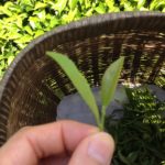 疲れるということは、、、、