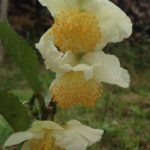 5ヶ月が経ちました、、、