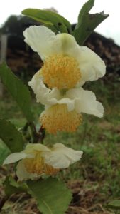 5ヶ月が経ちました、、、