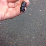 むりやりやん、、、、