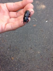 むりやりやん、、、、