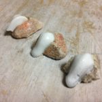 ゼーゲルコーンを、、、