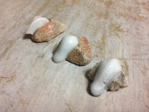 ゼーゲルコーンを、、、