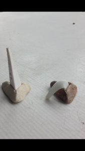 ゼーゲルの、、、、