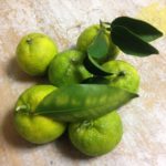 旬の食材、、、、