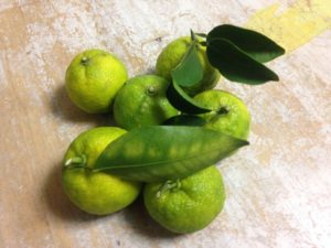 旬の食材、、、、