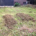 久しぶりの農作業、、、、