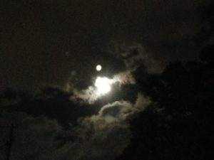 少しづつ、、、、