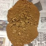 さっそく、、、、