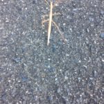 今日はゆっくり、、、