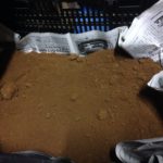 焼いて見ないと、、、、