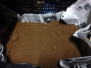 焼いて見ないと、、、、