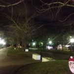 クリスマス雰囲気の公園、、、