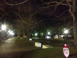 クリスマス雰囲気の公園、、、