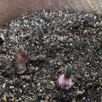 冬眠のような生活、、、、