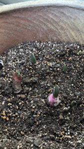 冬眠のような生活、、、、