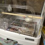 名前決定、、、、