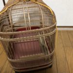 お下がりな日、、、、