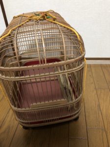 お下がりな日、、、、