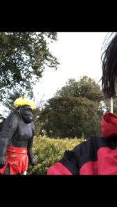 ゴリラと再会、、、、