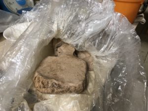 土の確認、、、、、