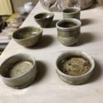 カマキリの卵、、、、、