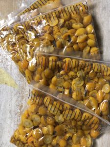 キンカンの甘露煮2、、、、、