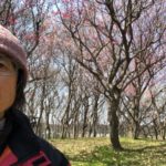 梅の香り、、、、、