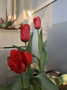 地球は、、、ま、わ、る、、、、