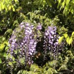 この季節は、、、、