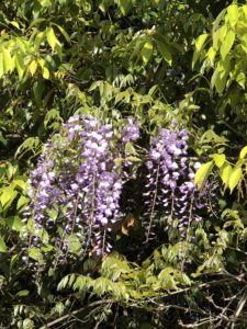 この季節は、、、、