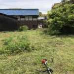 ふと見上げると、、、、、