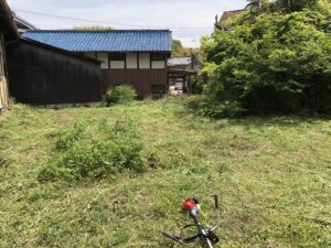 ふと見上げると、、、、、