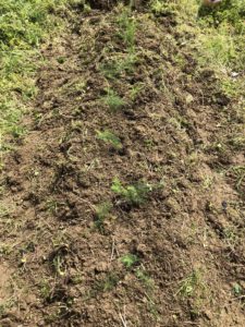 どちらかわからなくなっちゃった〜、、、、、