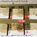 黄瀬戸のテストピース、、、